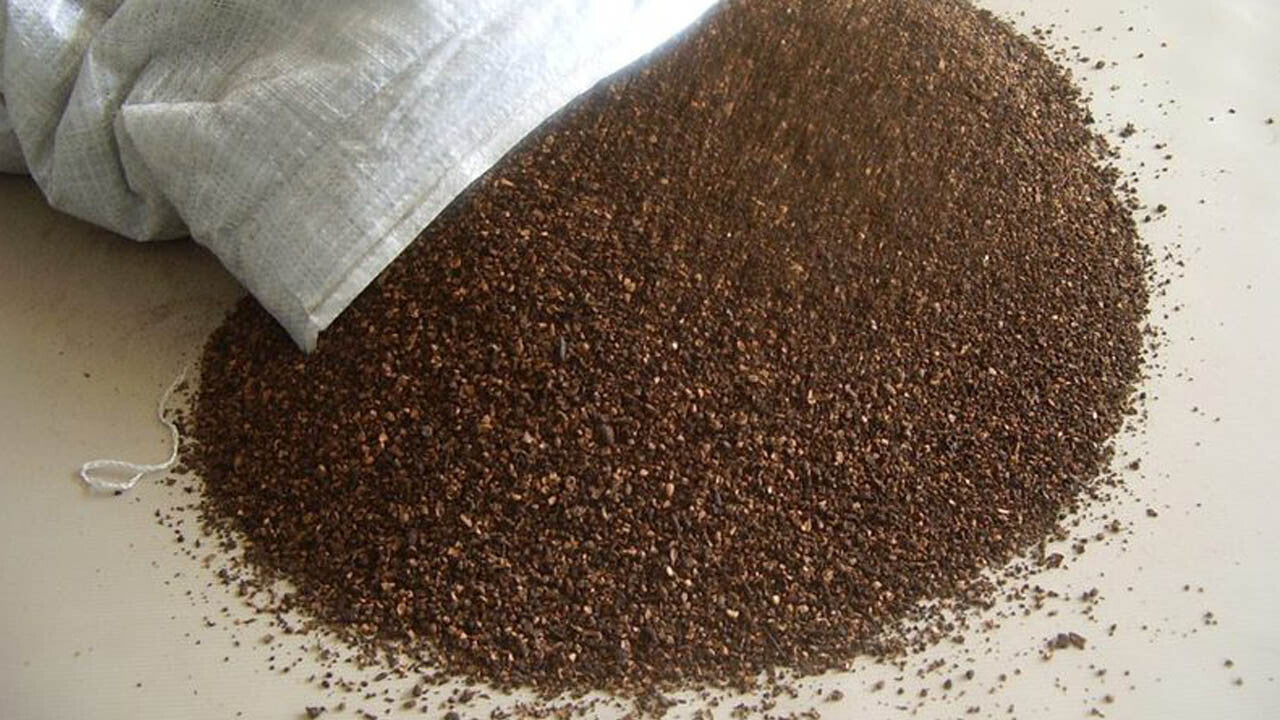 KG.25 NOCCIOLINO DI SANSA DISOLEATA PER CALDAIA A BIOMASSA OLIVE