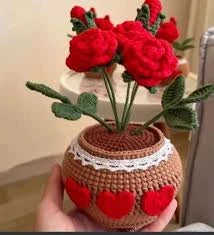 Roses in a pot