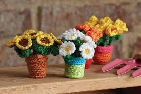 Sunflowers in a pot