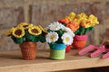 Sunflowers in a pot